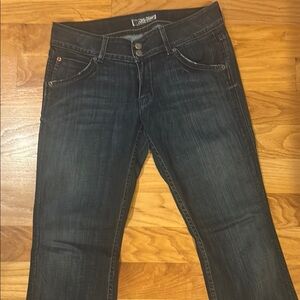 Hudson Jeans Blue Boot Cut Denim